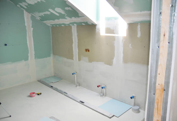 Best Mold Removal for HVAC Installations  in Deer Park, IL