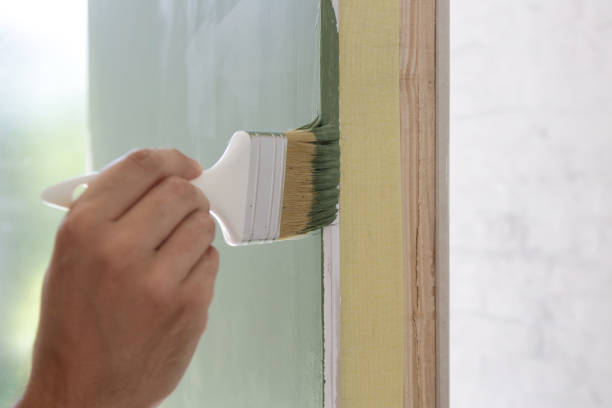 Best Black Mold Removal  in Deer Park, IL