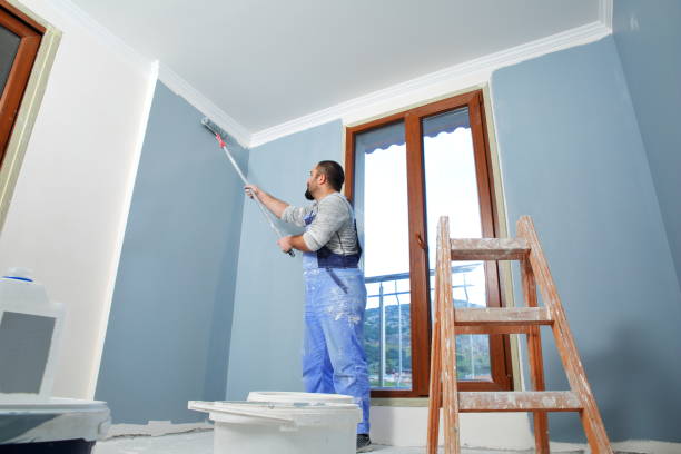 Best Dehumidification Services  in Deer Park, IL