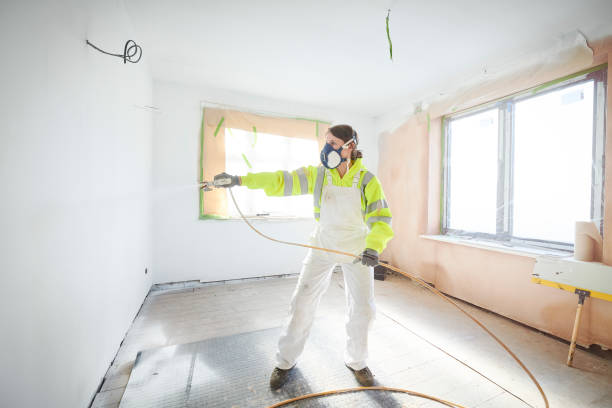 Best Water Damage & Mold Remediation  in Deer Park, IL