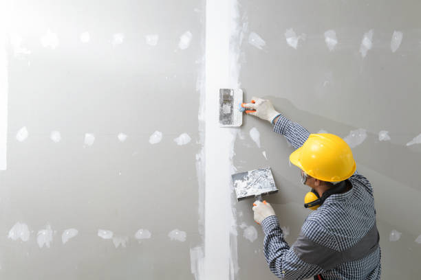 Best Asbestos and Lead Testing During Mold Inspection  in Deer Park, IL