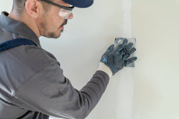 Trusted Deer Park, IL Mold Removal Experts