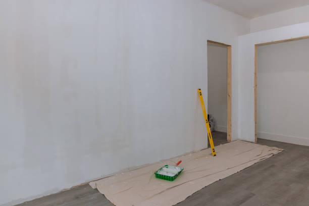 Best Mold Remediation for Vacation Homes  in Deer Park, IL