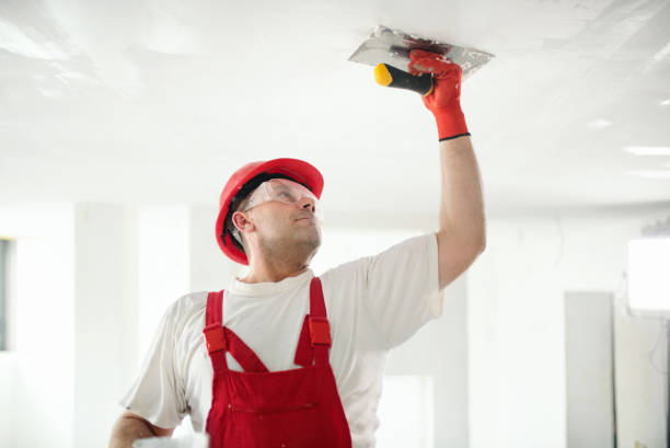 Mold Remediation for Vacation Homes in Deer Park, IL