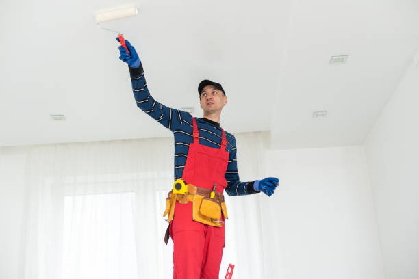 Best Biohazard Mold Removal  in Deer Park, IL