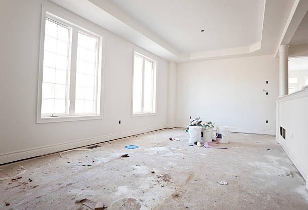 Best Mold Odor Removal Services  in Deer Park, IL