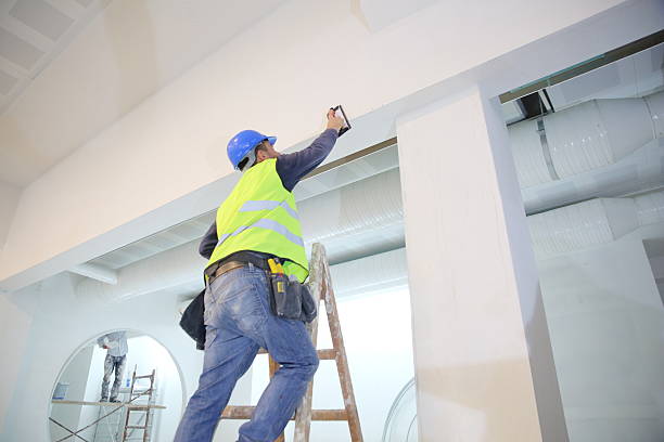 Best Airborne Mold Testing  in Deer Park, IL
