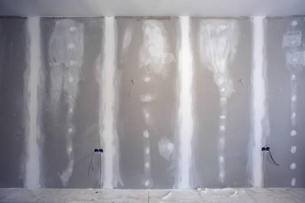 Mold Remediation for Vacation Homes in Deer Park, IL