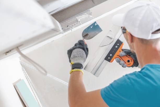  Deer Park, IL Mold Removal Pros